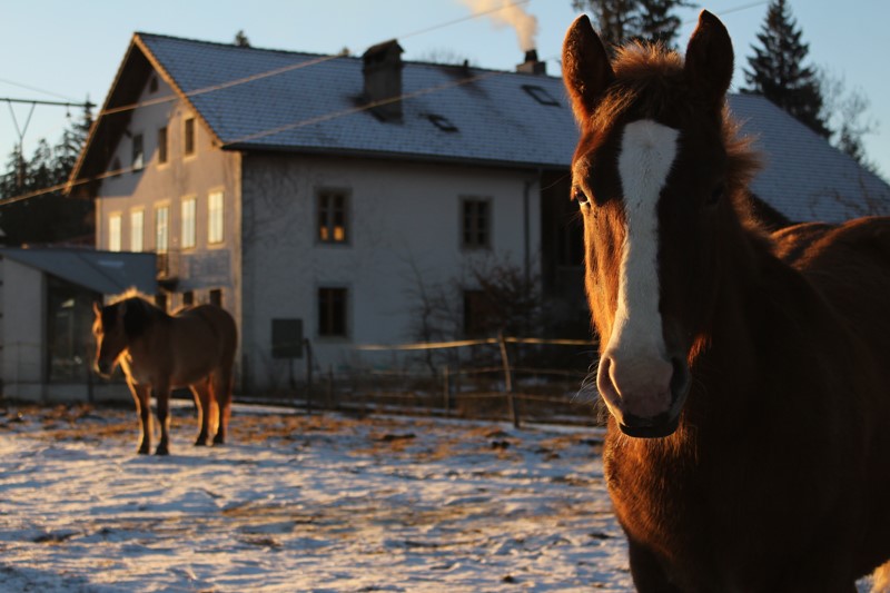 Ancienne_gare_Creux_des_Biches_2